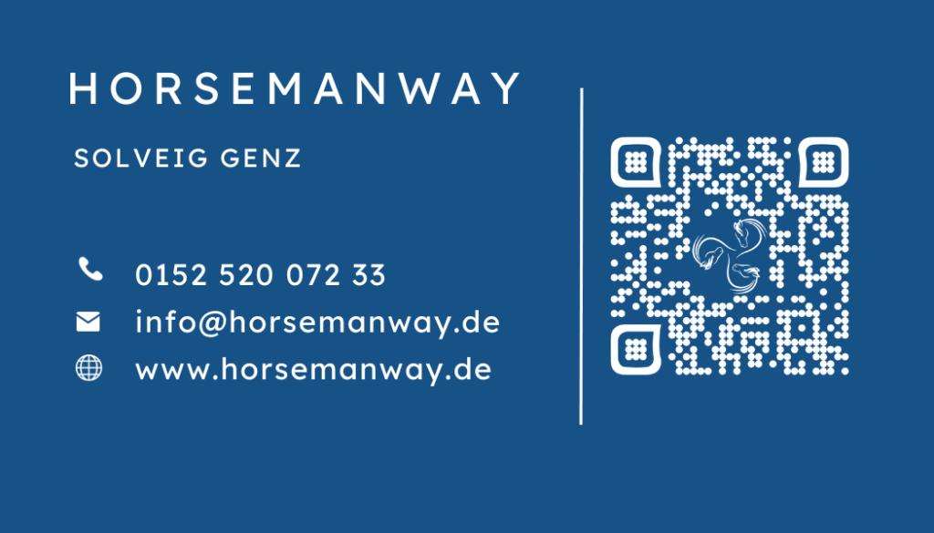 Webdesign Lübeck SEO Lübeck Northbay Digital & Design Rückseite Visitenkarte QR-Code-Design
