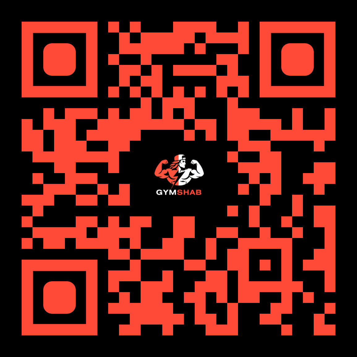 Webdesign Lübeck SEO Lübeck Northbay Digital & gymshab.de QR-Design