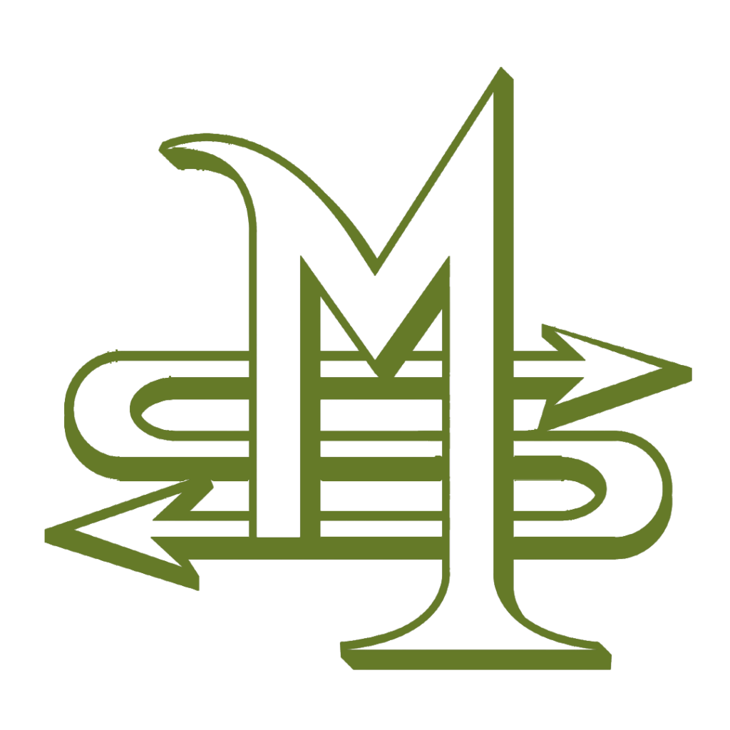 Webdesign Lübeck SEO Lübeck Northbay Digital & Design Logo Maurice-Schulz-Mehr-Performance