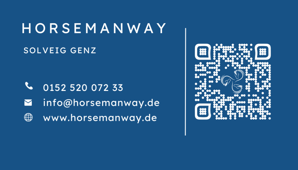 Webdesign Lübeck Northbay Didital und Design Referenz horsemanway Karte