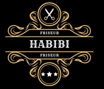 Webdesign Lübeck Northbay Didital und Design Referenz habibi-friseur.de Karte